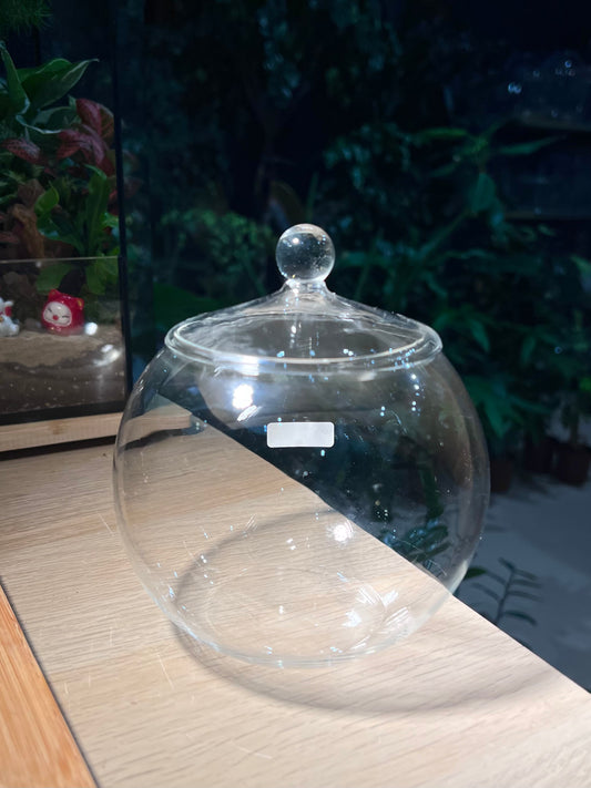 Fishbowl Glass with Lid (M)