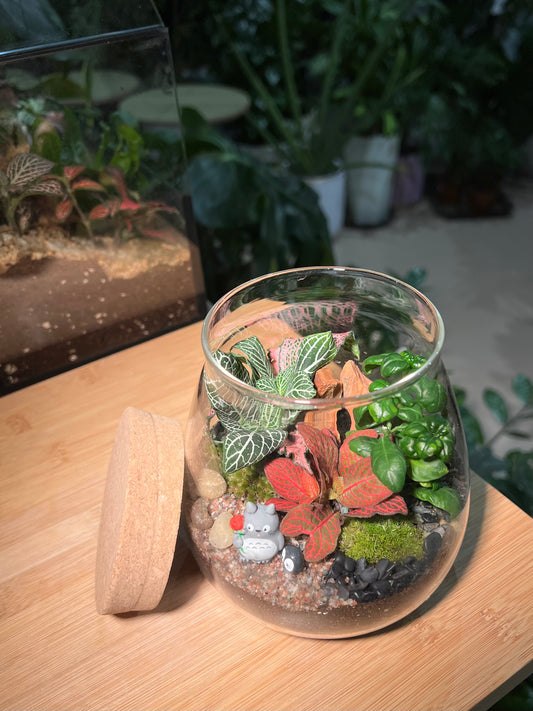 Fittonia and Bubble Plant with Moss Arrangement in Water Drop Terrarium (S) with Totoro Figurine
