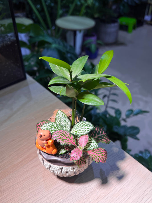 Fittonia and Nageia Nagi Arrangement with Capybara Figurine