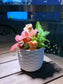 Fittonia & Fern Arrangement in White Pattern Designed Pot