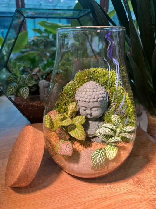 Fittonia with Moss Arrangement and Buddha Statue in Long Neck Glass with Lid