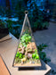 Fittonia, Ficus Pumilla with Moss Arrangement in Pyramidal Glass Terrarium