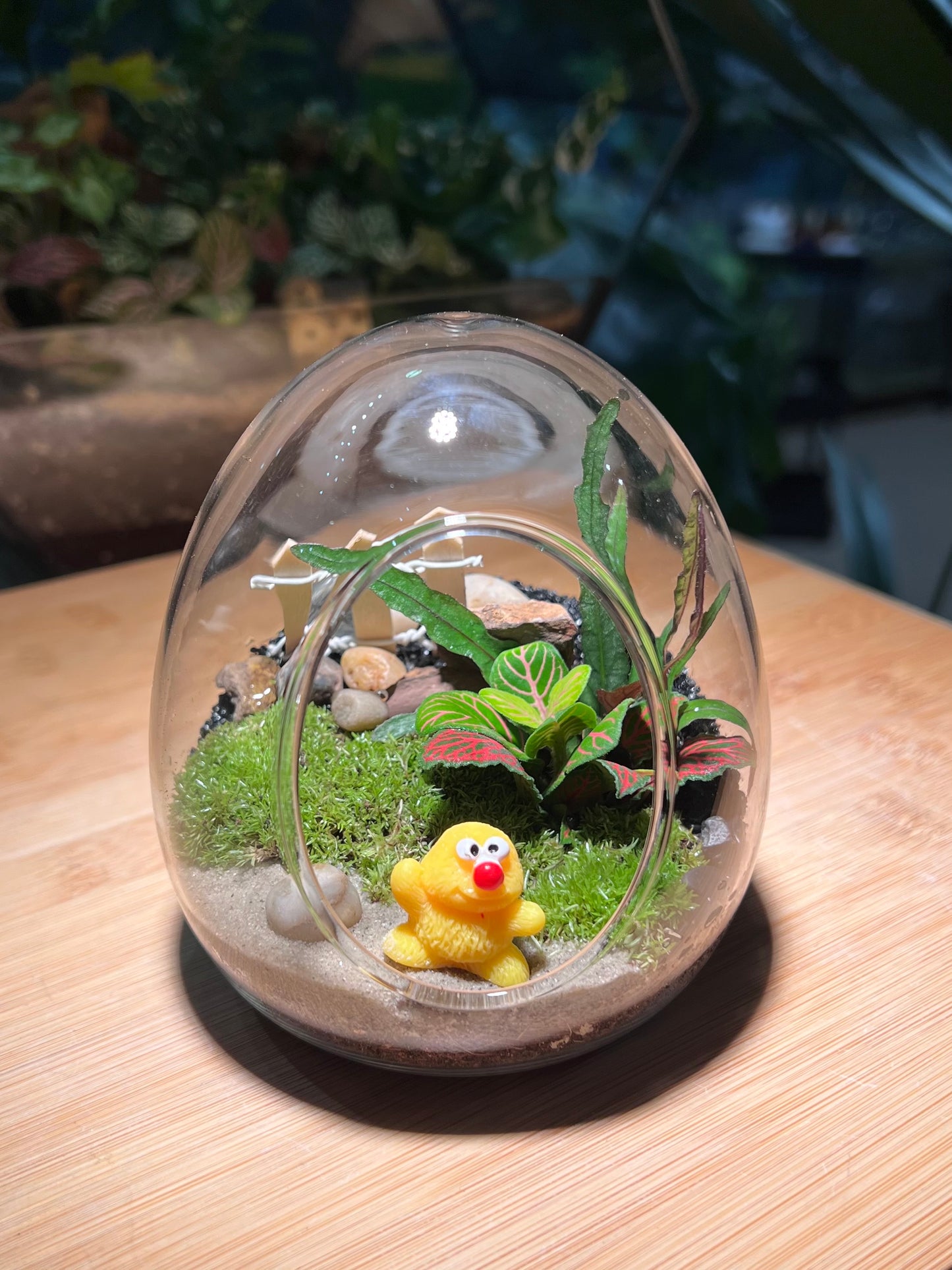 Fittonia and Fern with Moss Arrangement in Eggette Glass (S)