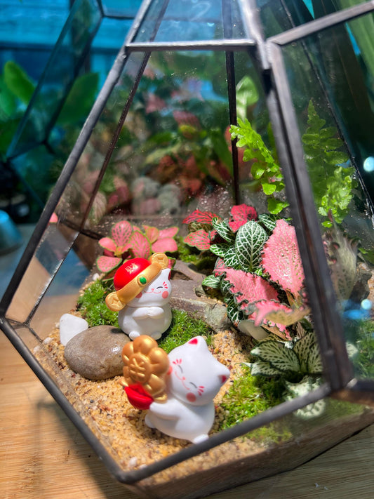 Fittonia & Fern with Moss Arrangement in Diamond Glass Terrarium (M)