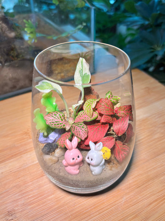 Fittonia and Fern Arrangement in Tall Glass Terrarium