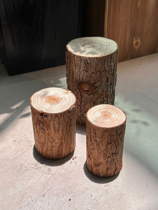 Woodlog Tall Pedestal (原木底座) Natural Wood Stump Display Stand