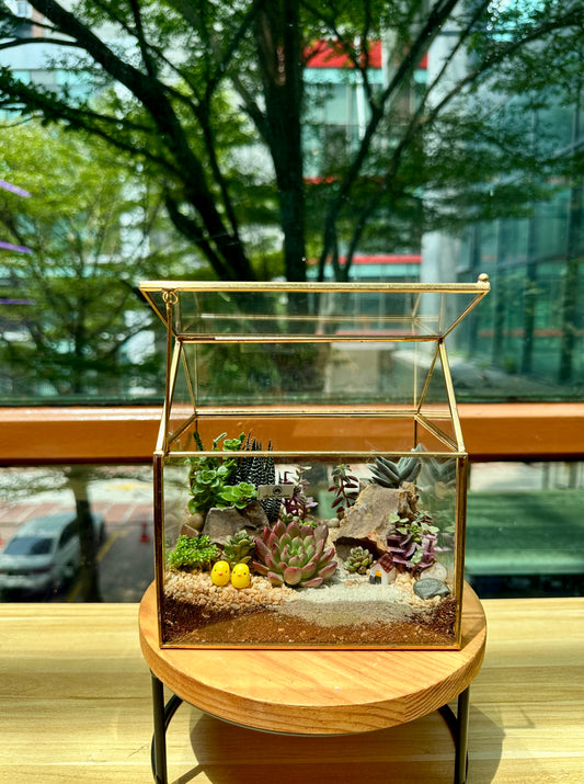 Succulent Arrangement in Golden Frame Glasshouse Terrarium