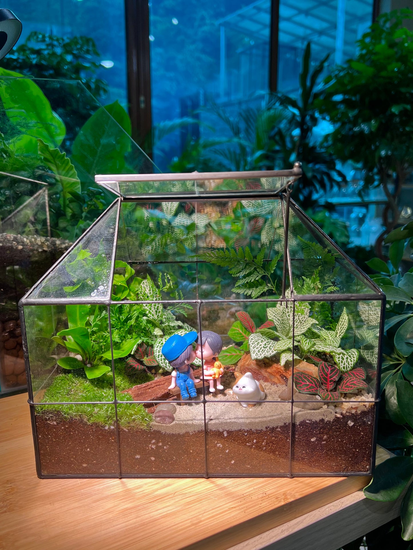 Fittonia and Fern with Moss Arrangement in Black Grid Glasshouse Terrarium (M)