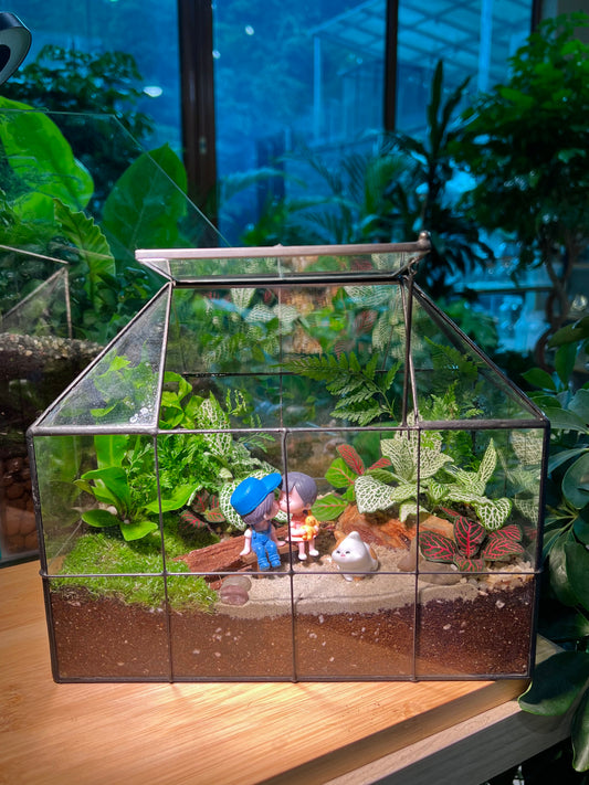 Fittonia and Fern with Moss Arrangement in Black Grid Glasshouse Terrarium (M)