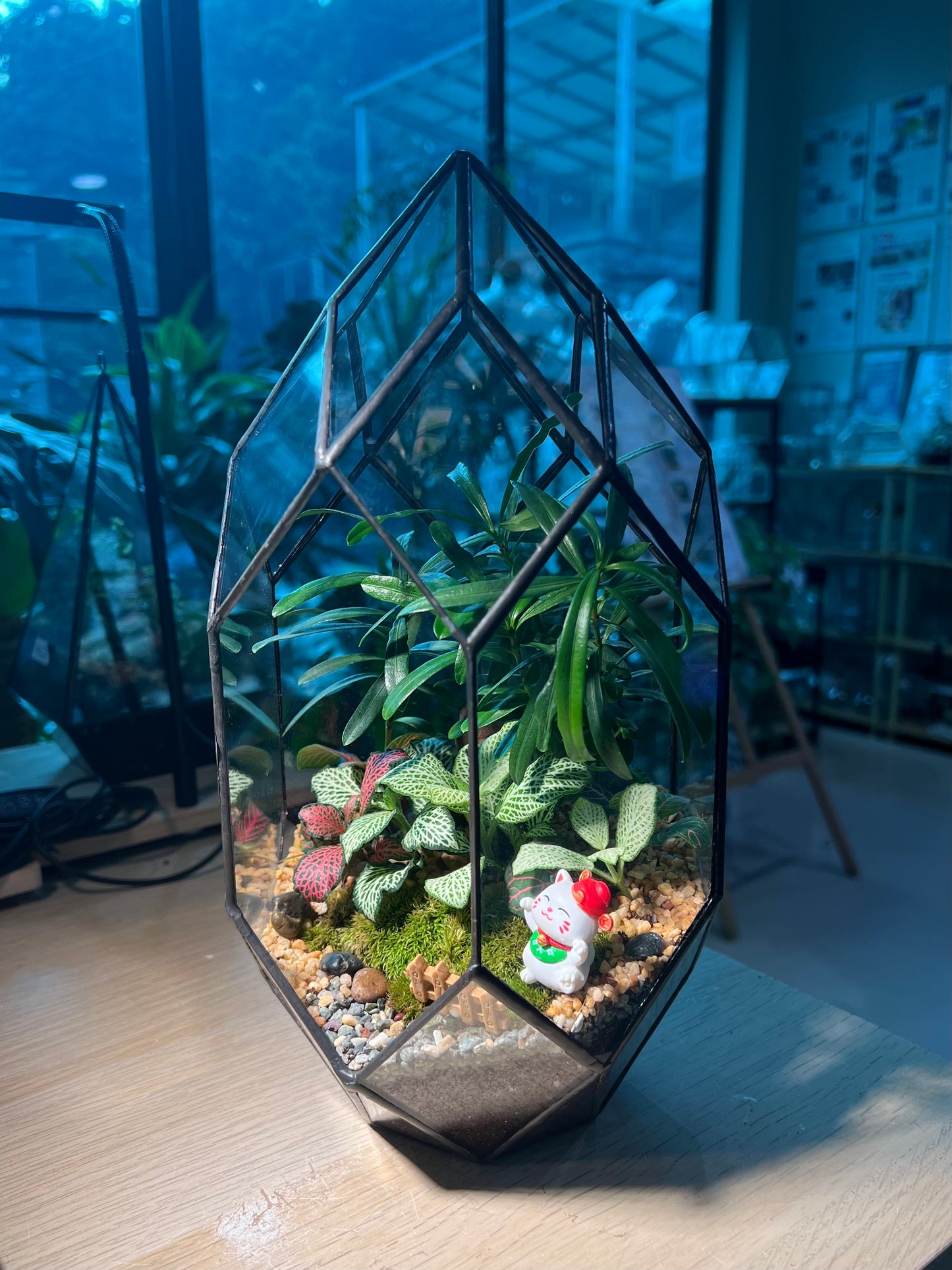 Indoor Plant Arrangement in Black Frame Polygonal Bullet Glass