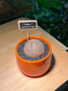 Stephania in Bright Orange Ceramic Pot