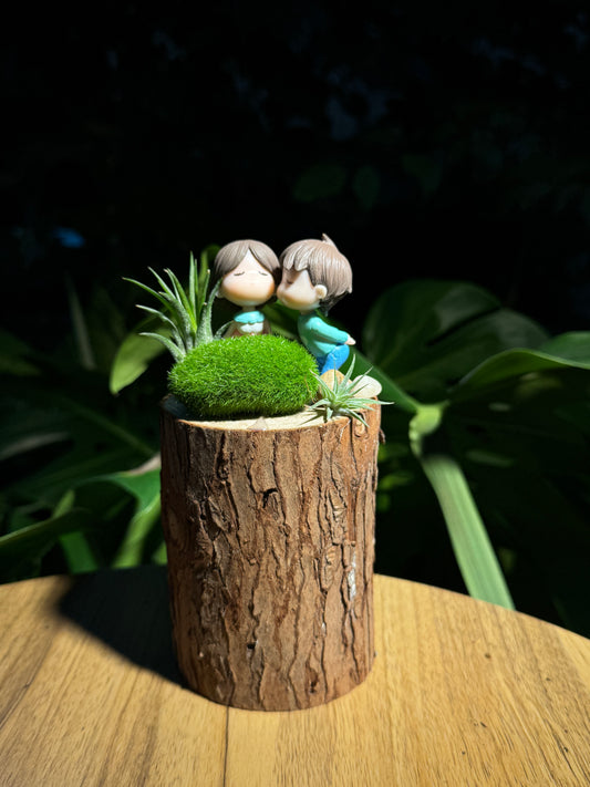 Airplant with Couple Figurines