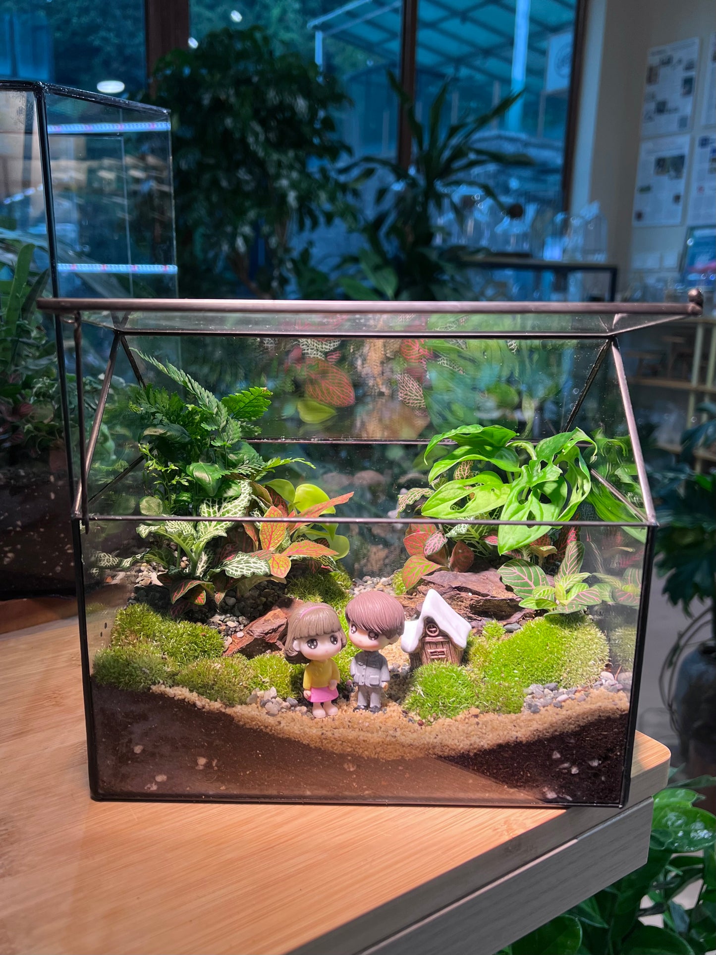 Valentine Gift - Fittonia and Fern with Moss Arrangement in Black Frame Glasshouse