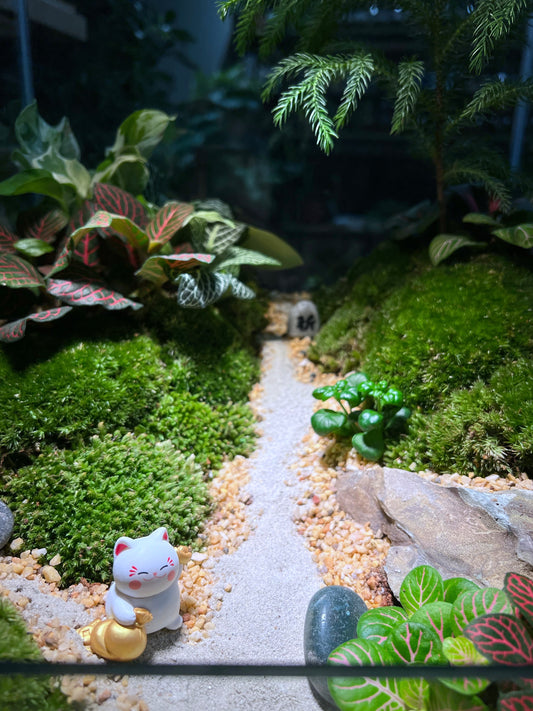 Indoor Plant Arrangement in Serene Forestscape Terrarium