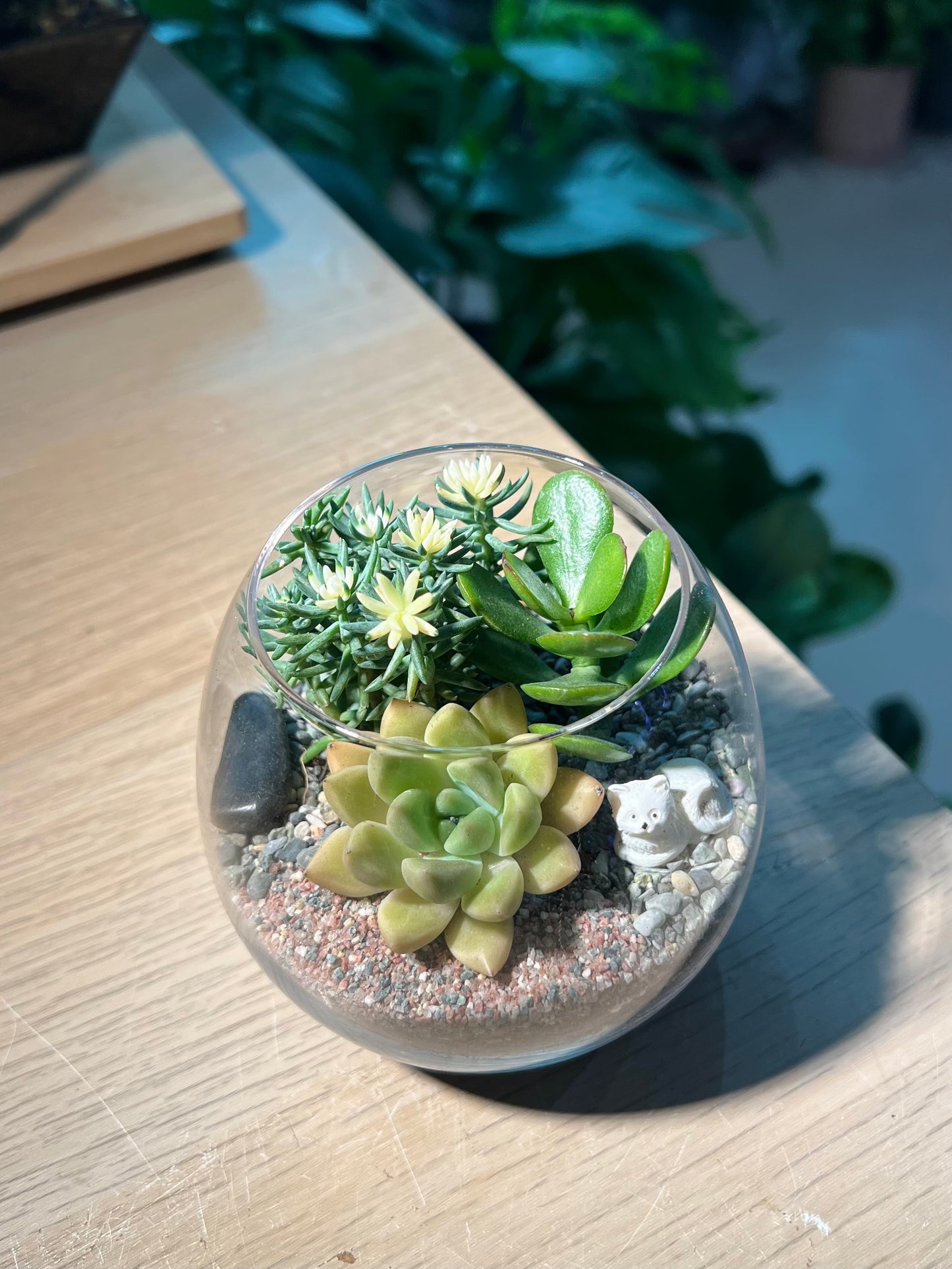 Succulent Terrarium in Crystal Glass