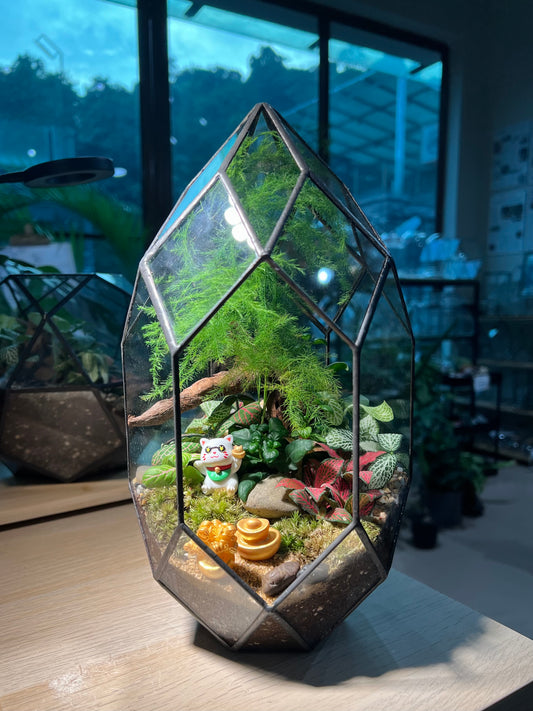 Fittonia, Asparagus Fern with Moss (Indoor Plant) Arrangement in Polygonal Bullet Glass Terrarium