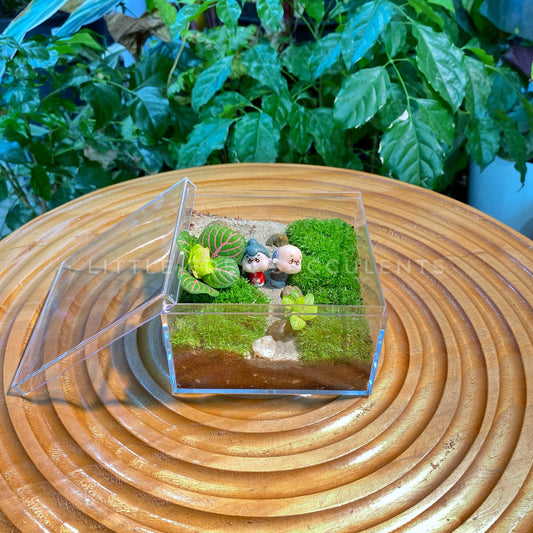 Fittonia & Moss Arrangement in Arcylic Terrarium