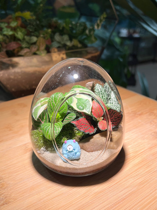 Fittonia and Njoy with Moss Arrangement in Eggette Glass (S)