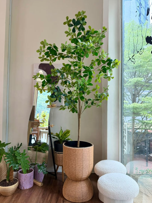 Artificial Dwarf Umbrella Tree (ιΈθζ¨) Schefflera Arboricola in Woven Basket Pot