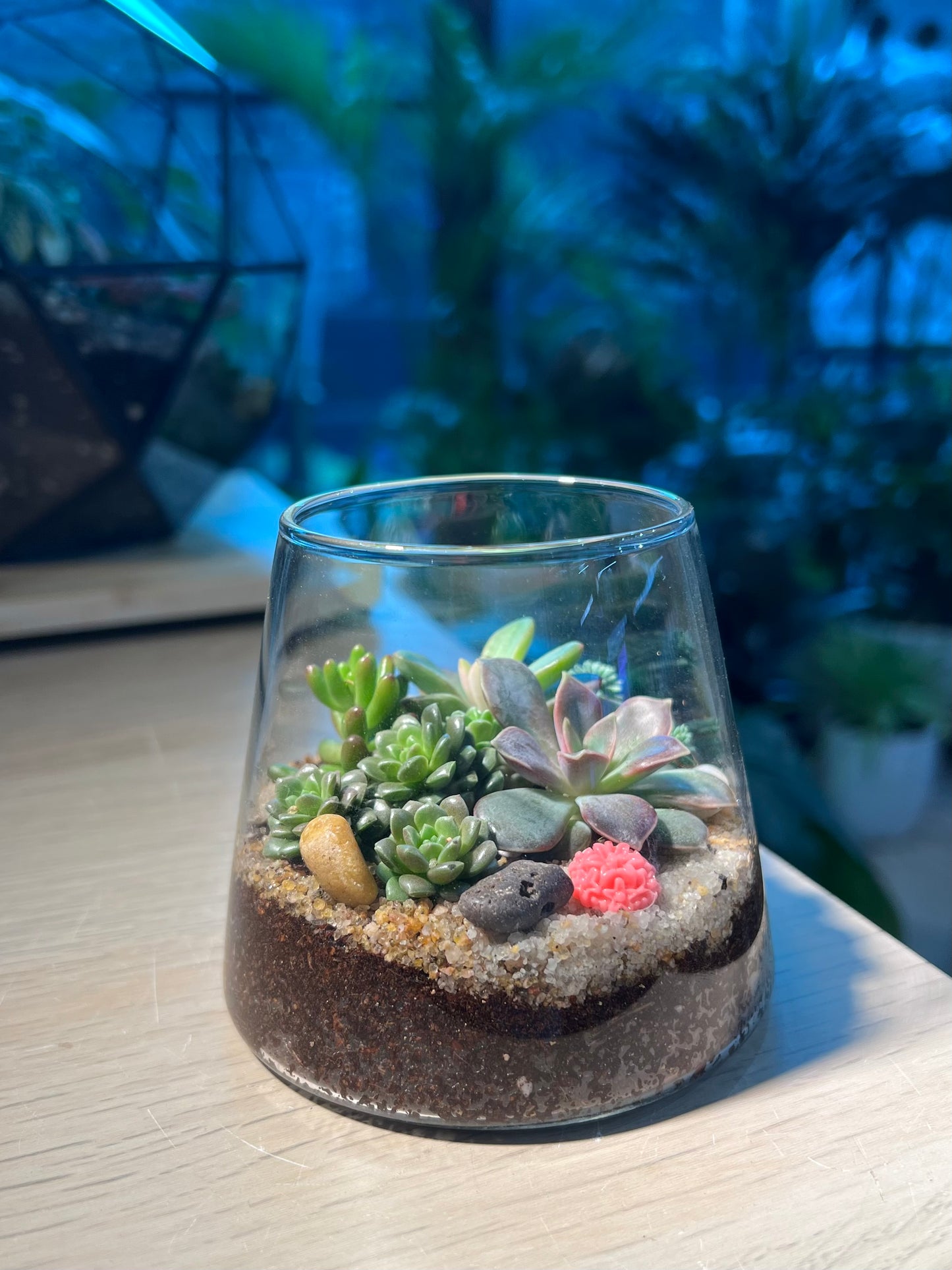 Succulent Arrangement in Fuji Glass Terrarium