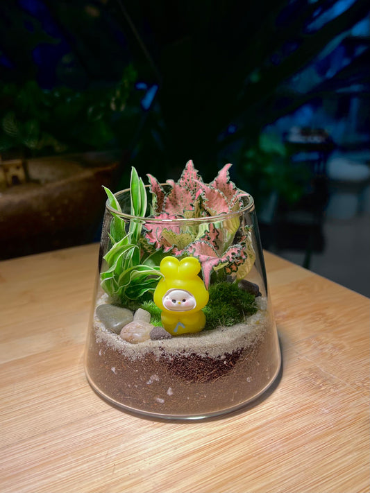 Fittonia and Chlorophytum with Moss Arrangement in Fuji Glass