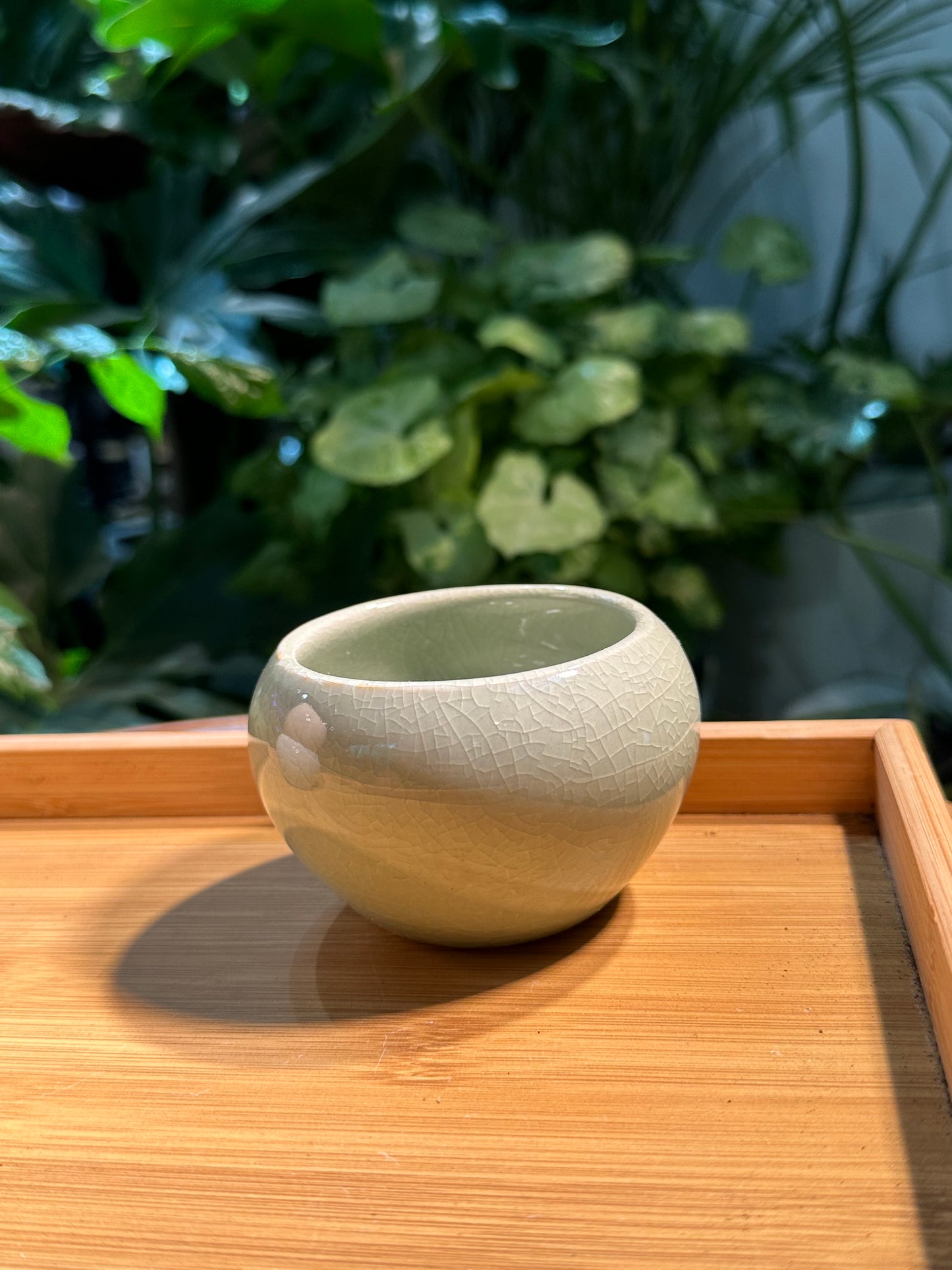 Designer Ceramic Pot