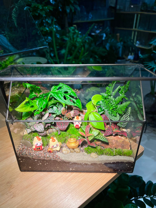 CNY Theme - Fittonia, Fern and Monstera  Arrangement with Horseh Figurine in Black Frame Glasshouse (M)