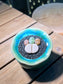 Lithops Paw in Handmade Petal Edge Ceramic Pot