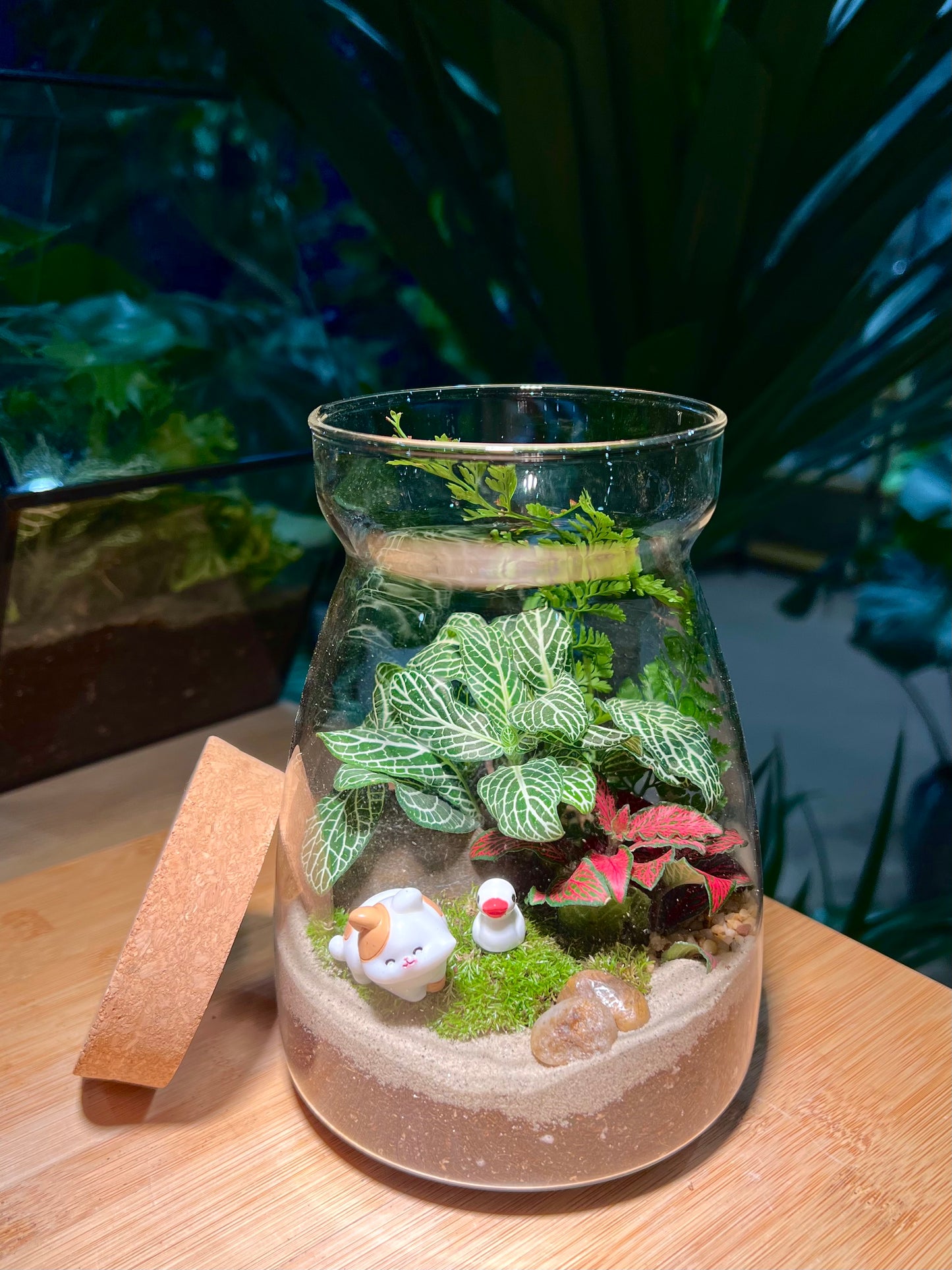 Fittonia and Fern with Moss Arrangement in Cover A Line Jar Glass
