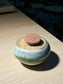 Lithop in Ceramic Pot