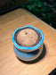 Stephania in Blue Petal-Edge Ceramic Pot