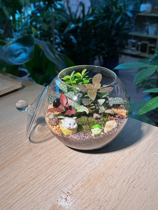 Indoor Plant Fittonia & Euonymus Japonicus & Moss (η½ηΊΉθ & ζ£ζ¨ & θθ) in Fishbowl with Lid
