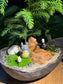 Totoro Lover: Norfolk Island Pine in Zen Bonsai Pot