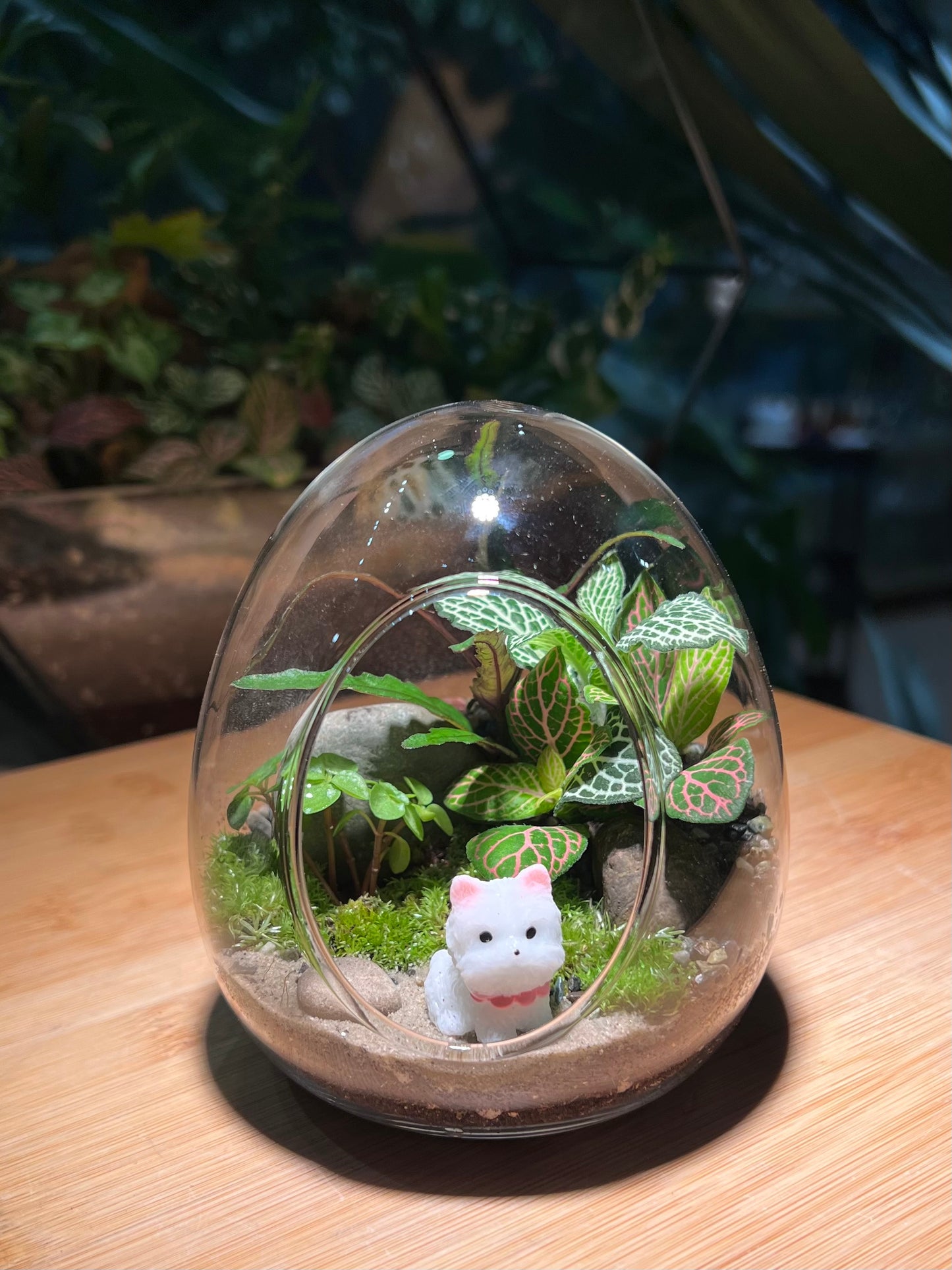 Fittonia and Fern with Moss Arrangement in Eggette Glass (S)