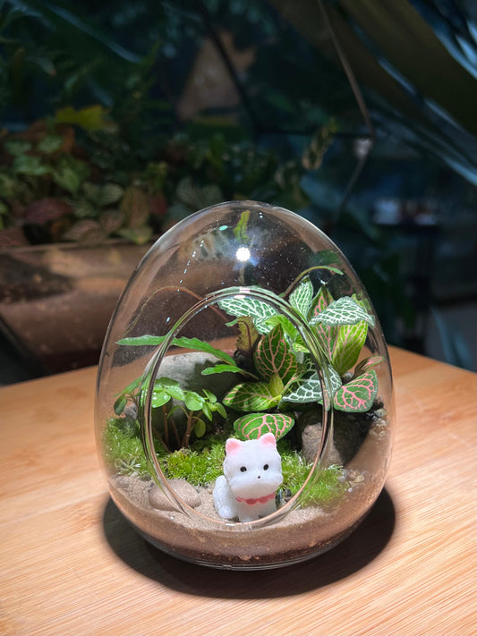 Fittonia and Fern with Moss Arrangement in Eggette Glass (S)