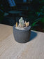 Cactus (仙人掌) Thimble Cactus Landscape in Textured Charcoal Black Ceramic Pot