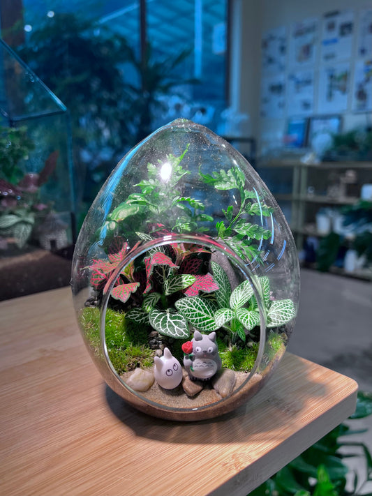 Fittonia and Fern with Moss Arrangement in Eggette Glass (M) - Totoro Figurine