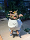Fittonia in Smiling Face Pot