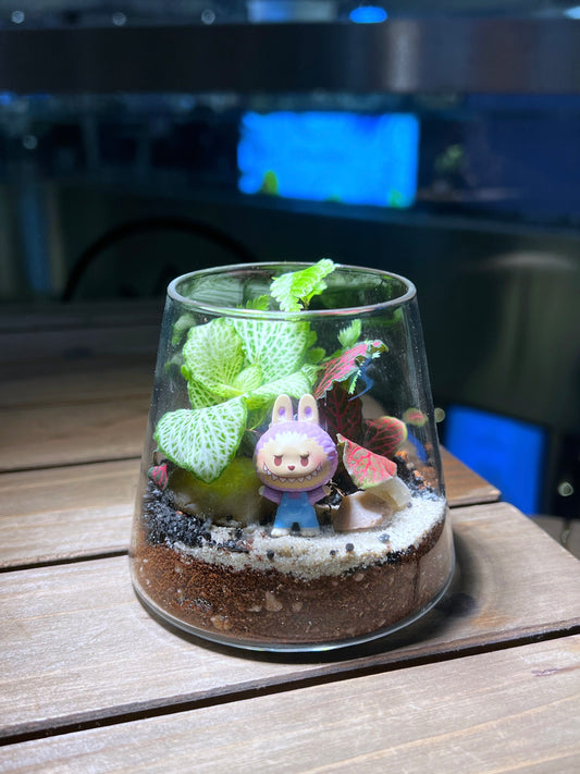 Fittonia & Fern Arrangement with Labubu Figurine in Fuji Glass Terrarium