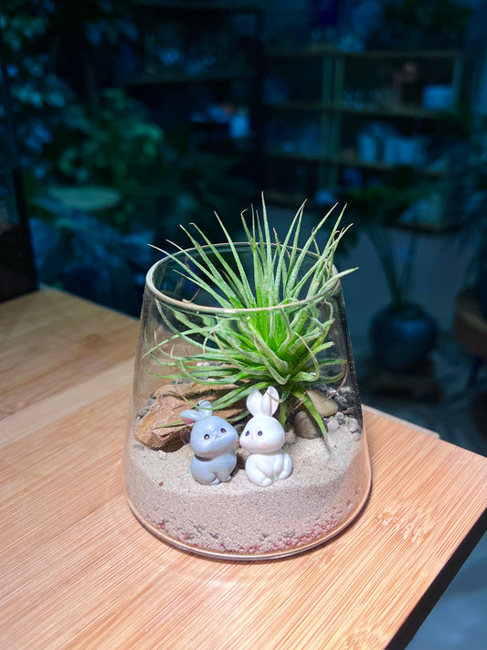 Airplant in Fuji Glass with 🐇 Figurines