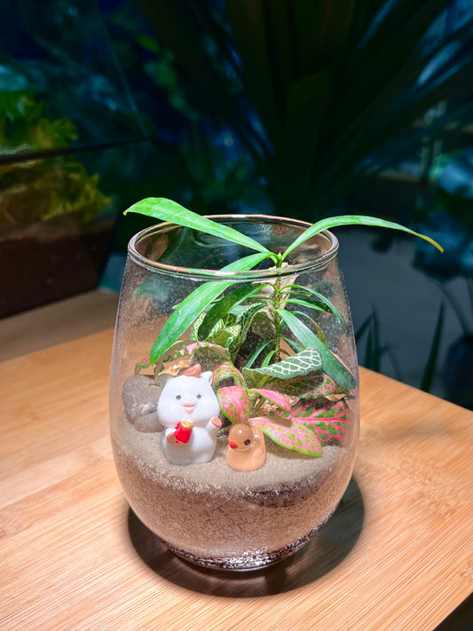 Fittonia and Podocarpus Arrangement in Tall Glass