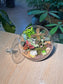 Indoor Plant Fittonia & Euonymus Japonicus & Moss (网纹草 & 正木 & 苔藓) in Fishbowl with Lid