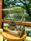 Succulent Terrarium in Golden Frame Designer Terrarium