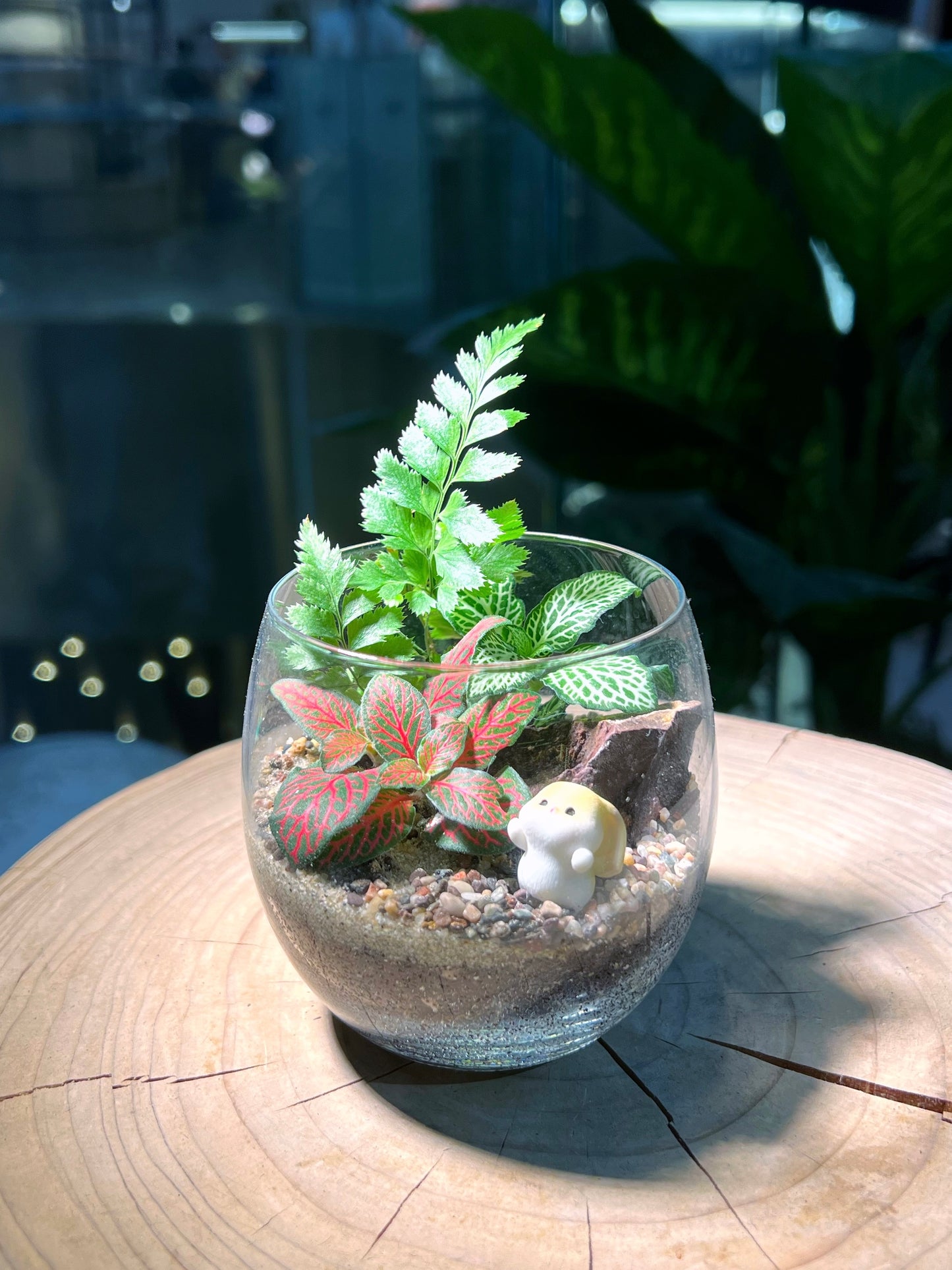 Fittonia & Fern Arrangement in Crystal Glass