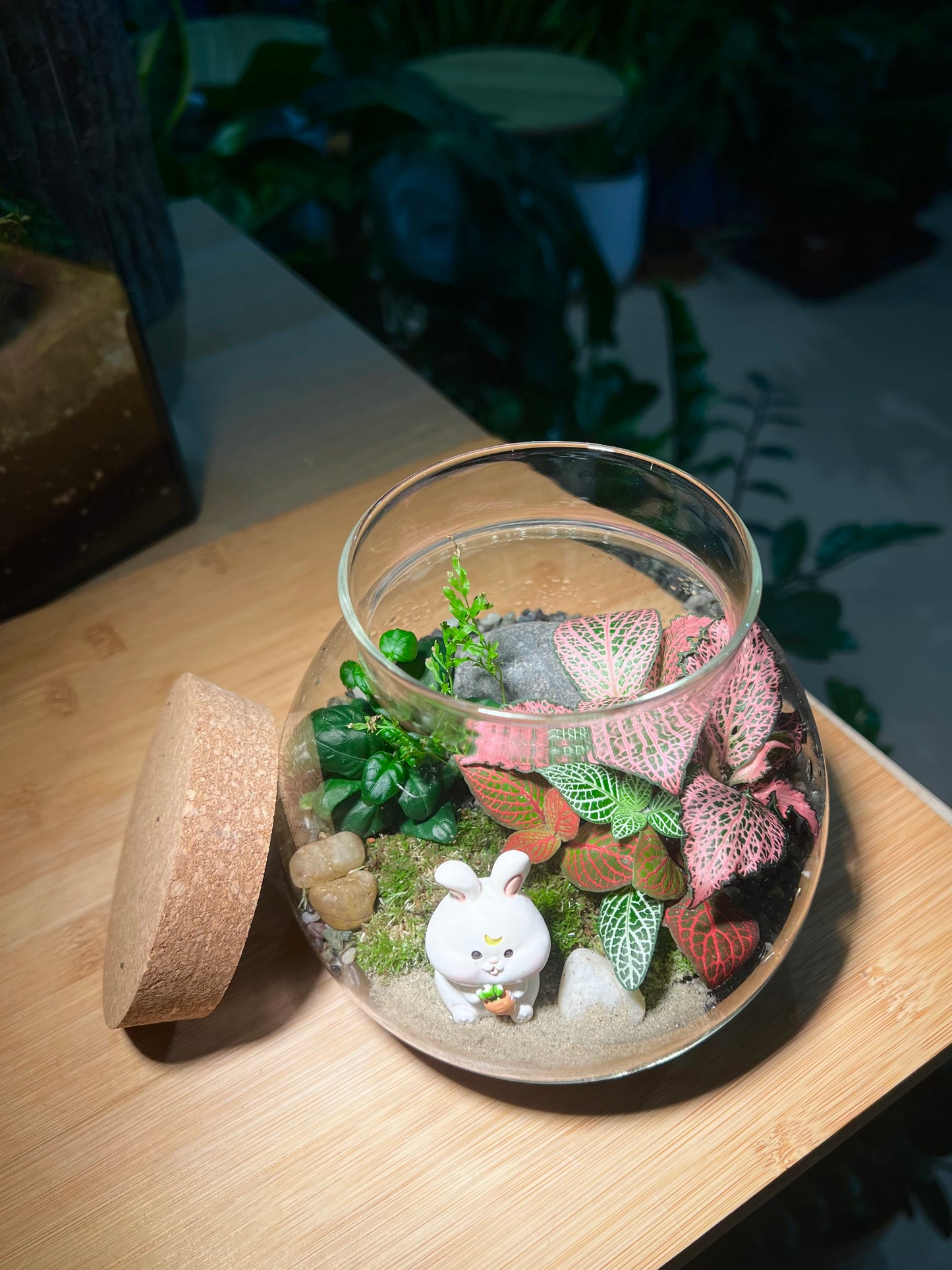 Fittonia and Bubble Plant with Moss Arrangement in Round Covered Glass (M)