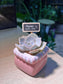 Teacher’s Day Gift - Echeveria in Pinkish Square Ceramic Pot