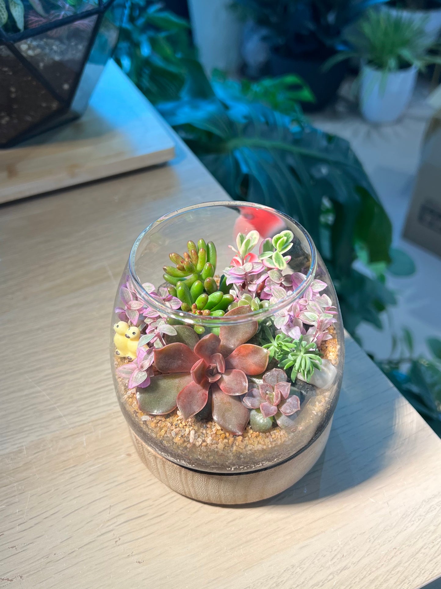 Succulent Arrangement in Muji Glass with Wooden Base Terrarium