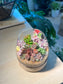 Succulent Arrangement in Muji Glass with Wooden Base Terrarium