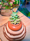 Graptoviria Opalina (Succulent) in a Ceramic Pot