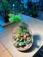 Fittonia and Fern with Moss (Indoor Plant) Arrangement in Slanted Glass Terrarium